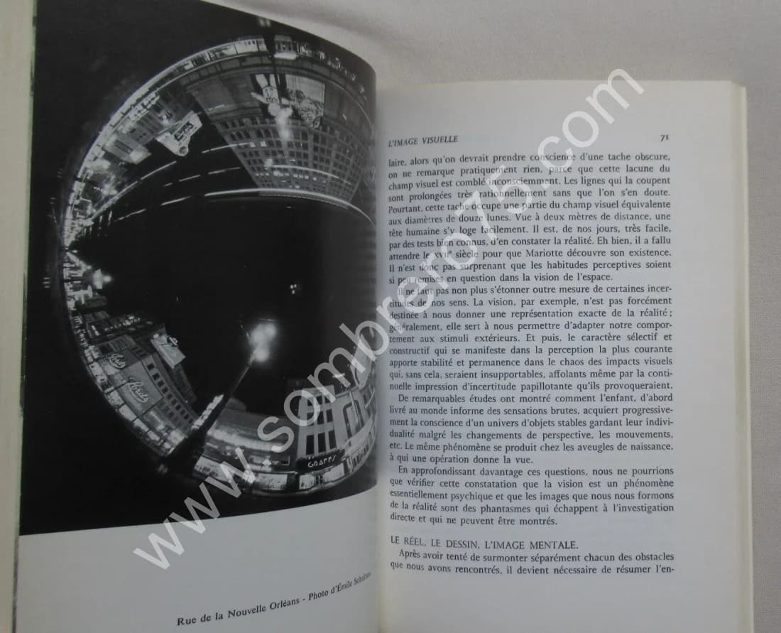 La Perspective Curviligne de l'espace visuel à l'image construite. A. BARRE - Image 5