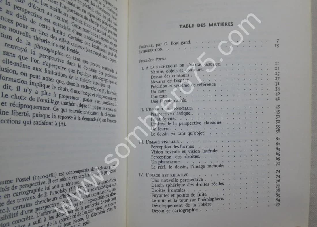 La Perspective Curviligne de l'espace visuel à l'image construite. A. BARRE - Image 6