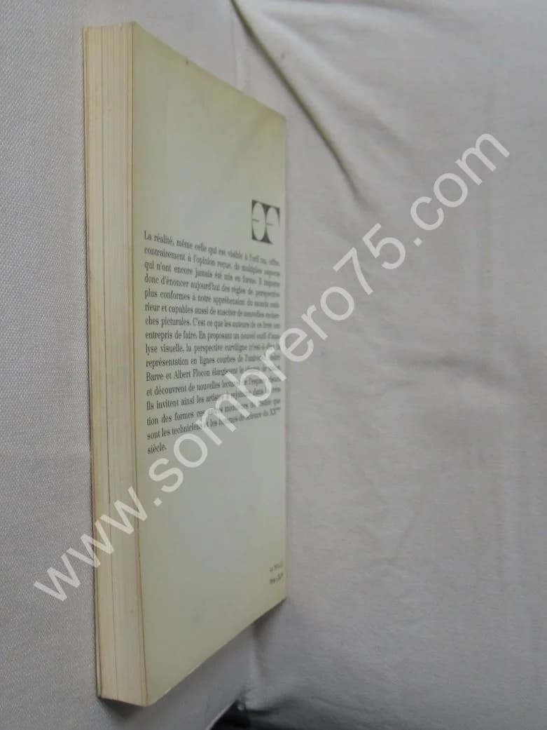 La Perspective Curviligne de l'espace visuel à l'image construite. A. BARRE - Image 9