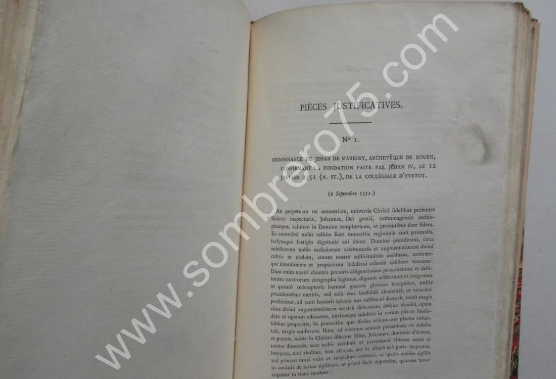 Histoire de la Principauté d'Yvetot - Ses Rois - Ses Seigneurs. 1884. BEAUCOUSIN - Image 8