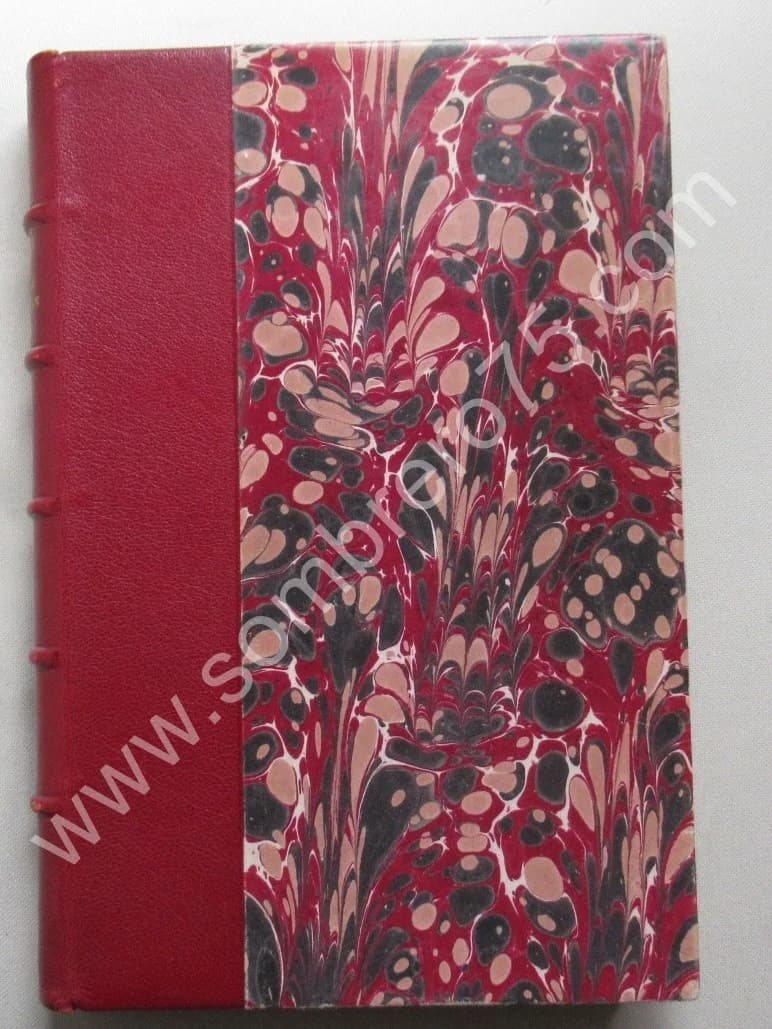 Chronique de la Famille Engelmann de Mulhouse 1450-1898 - Image 8