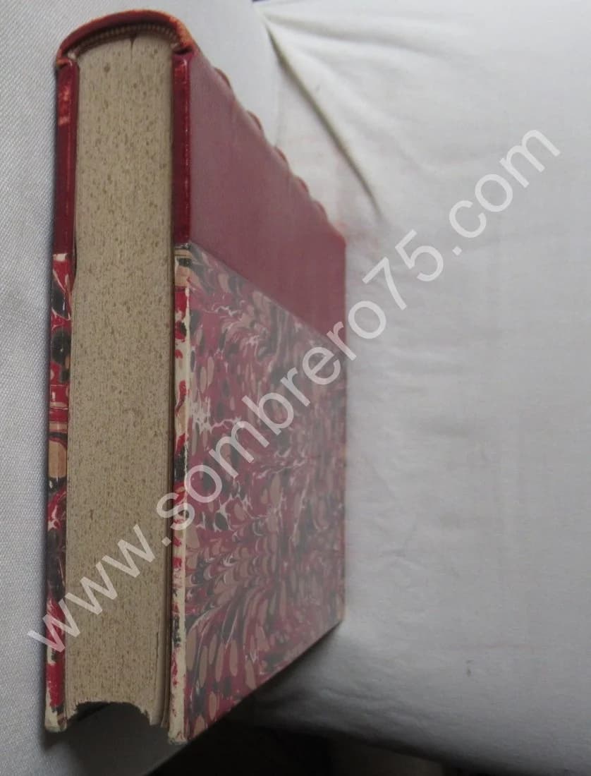 Chronique de la Famille Engelmann de Mulhouse 1450-1898 - Image 9