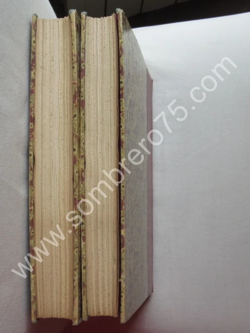 Der Stadt Mülhausen Geschichte bis zum Jahr 1816 et 1817 - 2 Tomes - Image 11