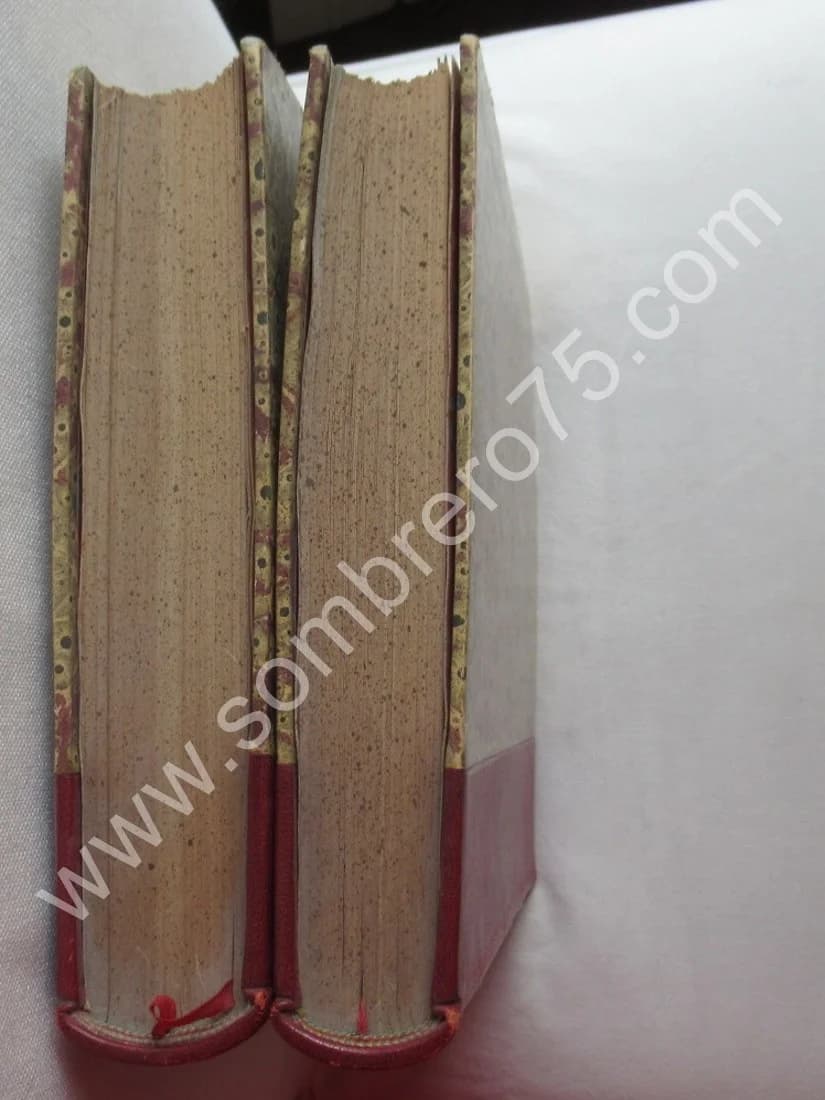 Der Stadt Mülhausen Geschichte bis zum Jahr 1816 et 1817 - 2 Tomes - Image 10