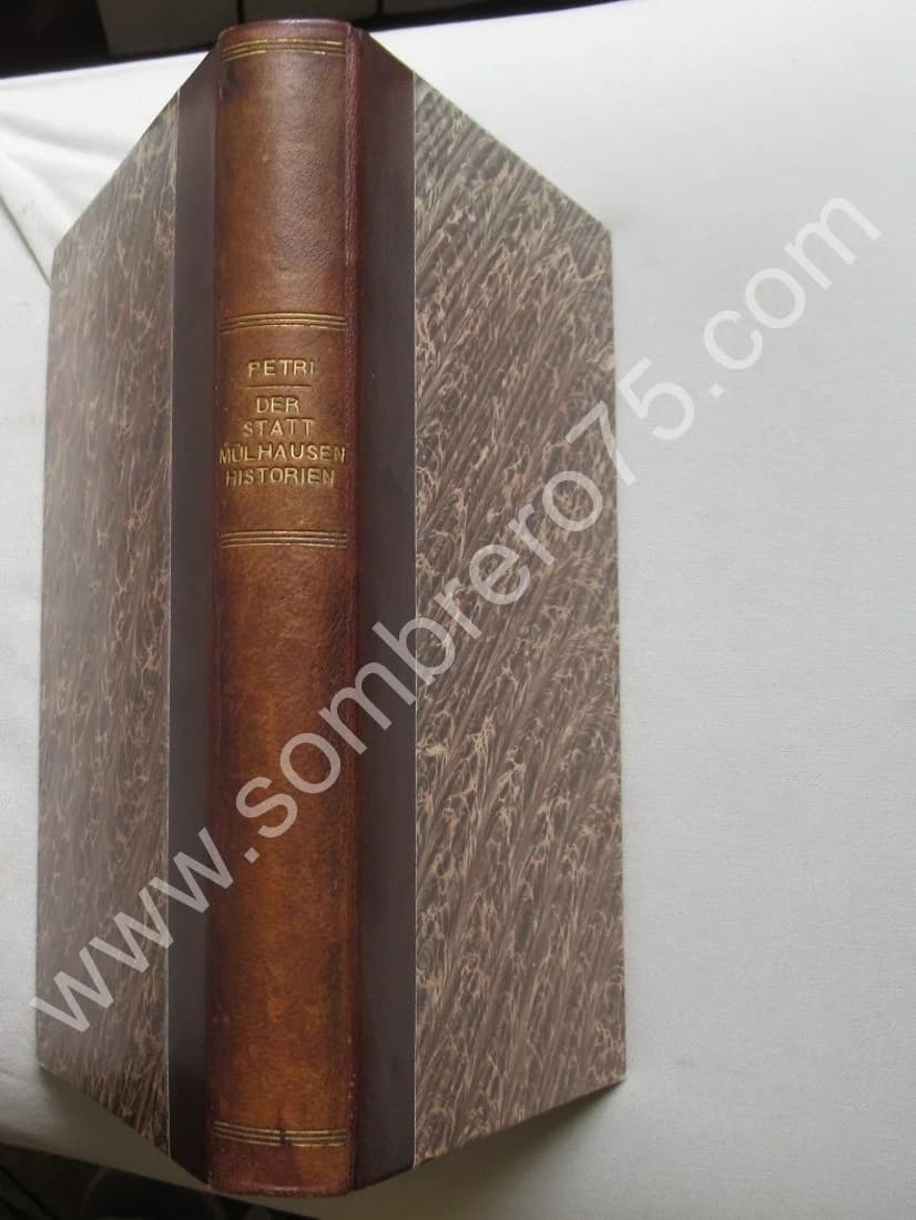 Der Statt Mülhausen Historien