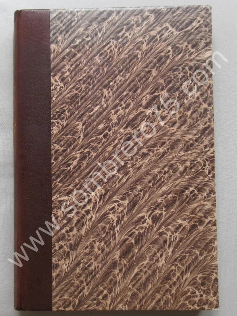 Der Statt Mülhausen Historien - Image 2