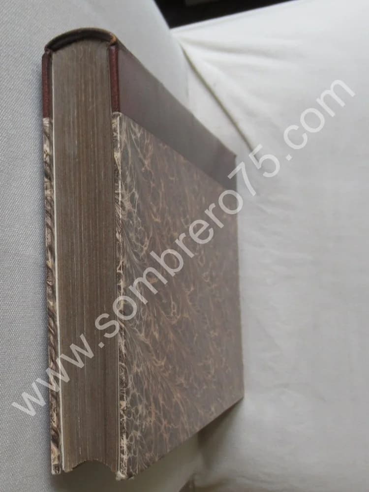 Der Statt Mülhausen Historien - Image 11