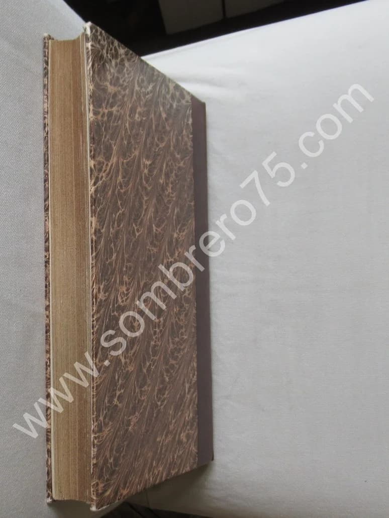 Der Statt Mülhausen Historien - Image 9