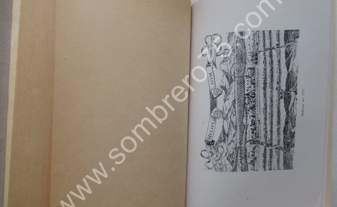 Topographie Historique du Vieux Mulhouse - Image 4