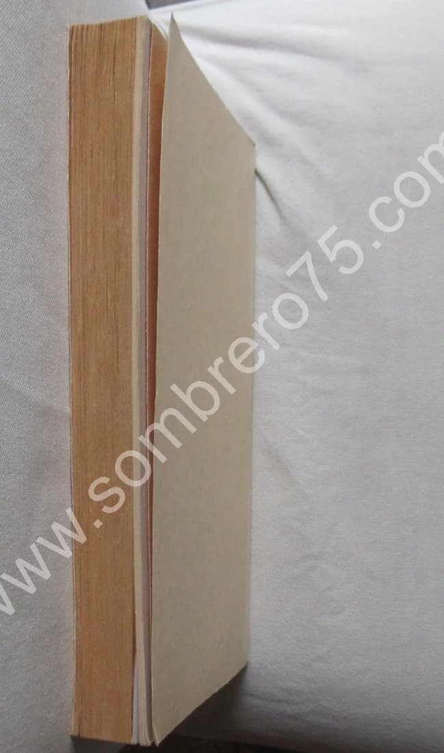 Topographie Historique du Vieux Mulhouse - Image 9