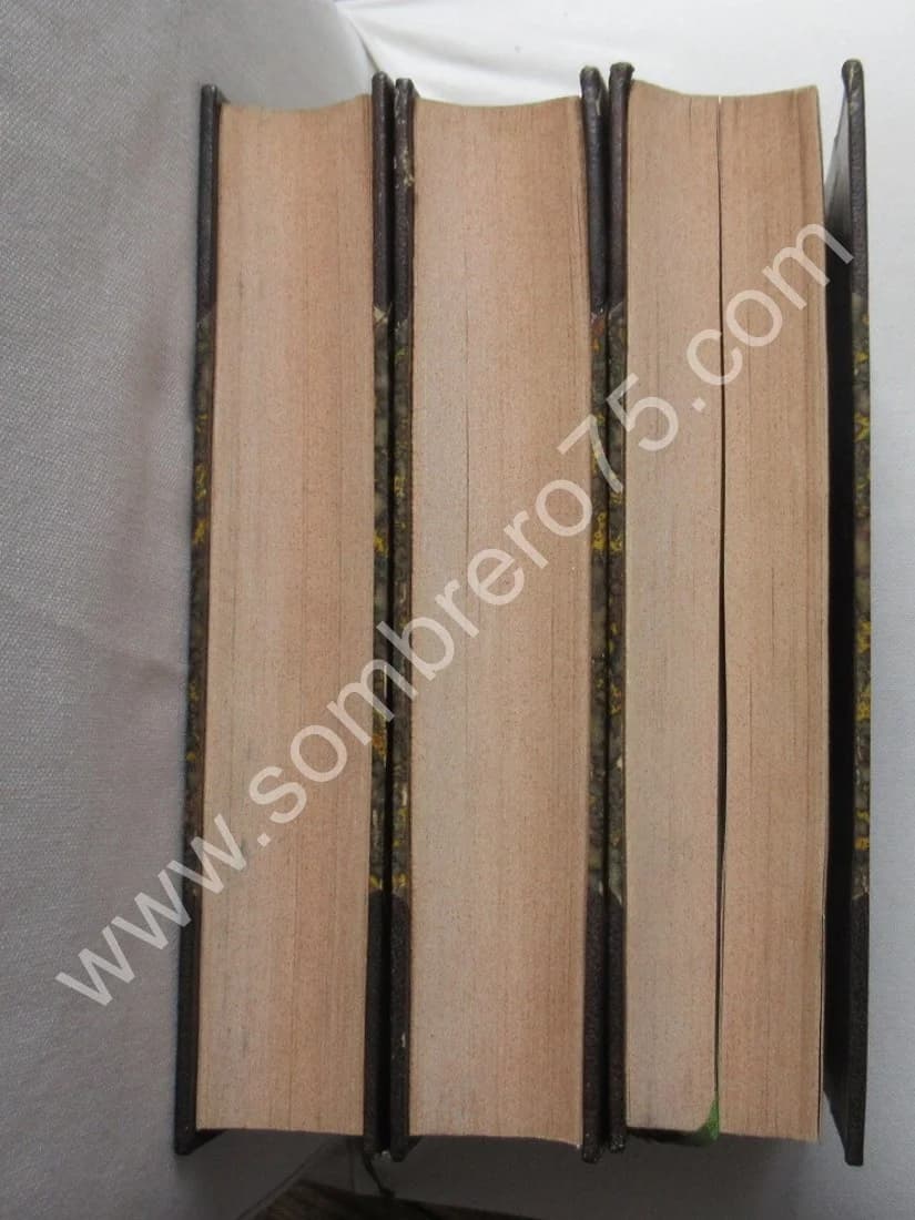 Mémoires pour servir à l'histoire de Napoléon 1er - 3 Tomes - Image 3