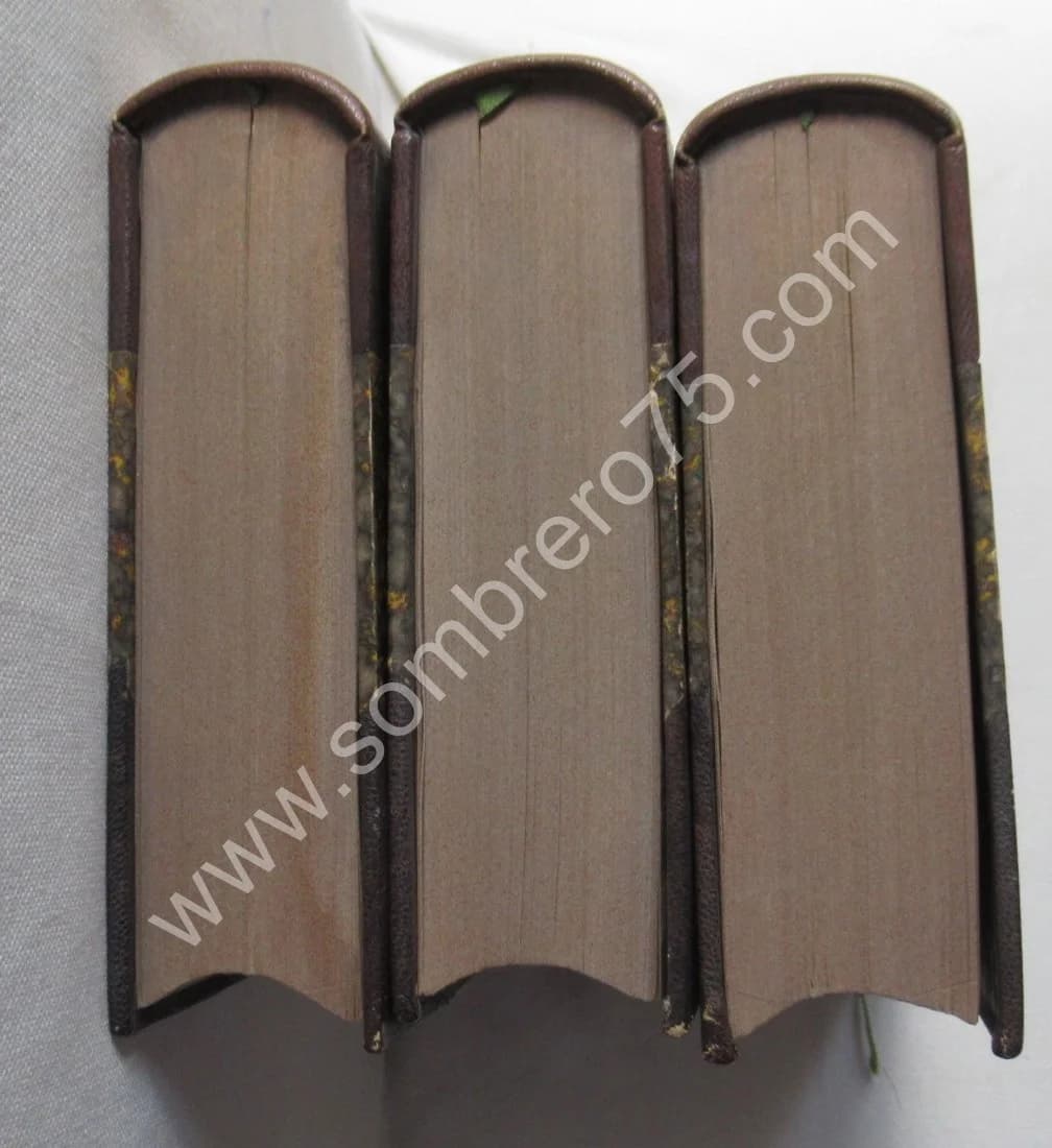 Mémoires pour servir à l'histoire de Napoléon 1er - 3 Tomes - Image 4