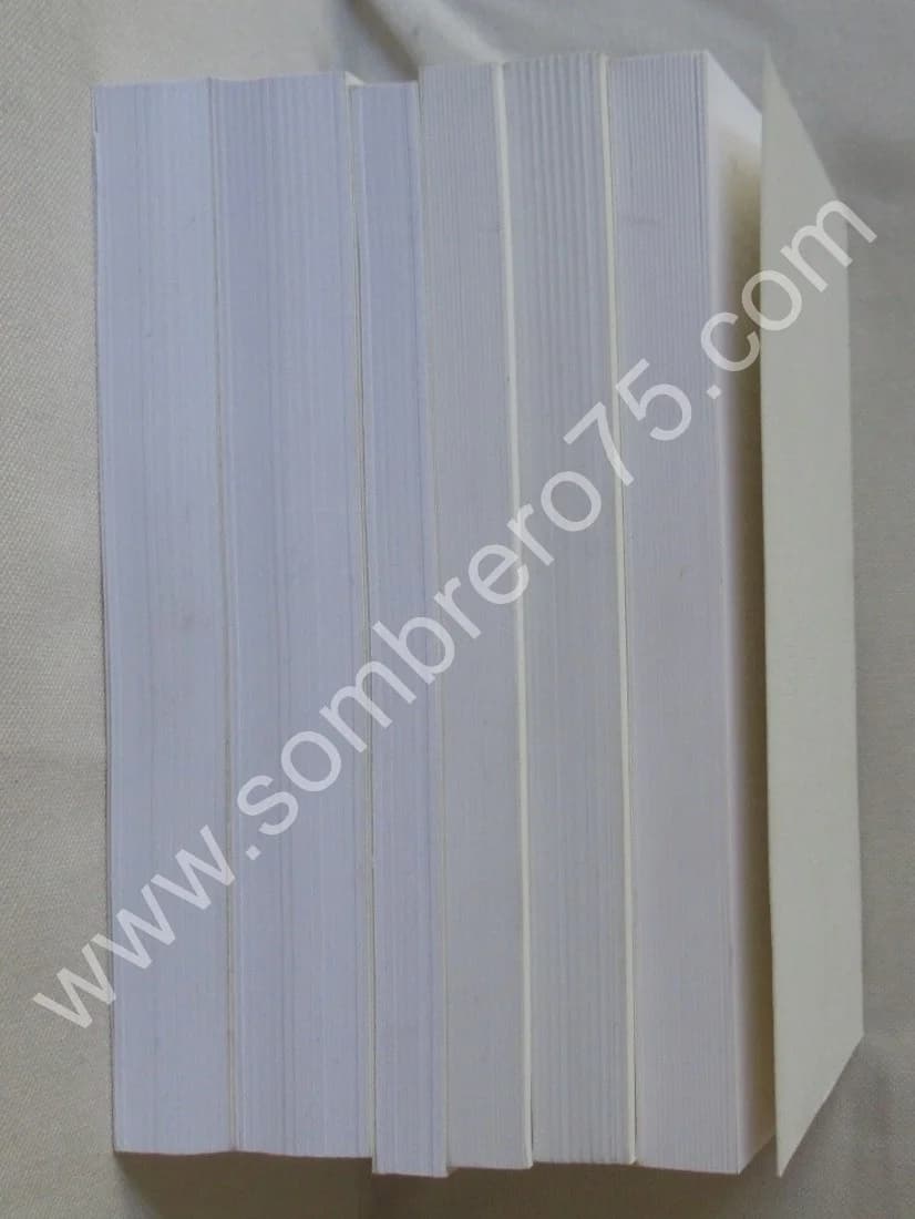 Registre Journal du Règne Henri III - 6 Tomes. Pierre de l'ESTOILE