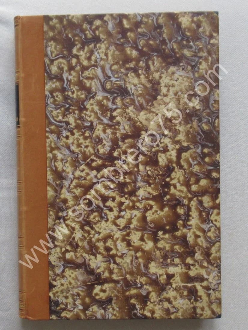 Leçons Cliniques sur les principaux Phénomènes de l'Hypnotisme - Image 2