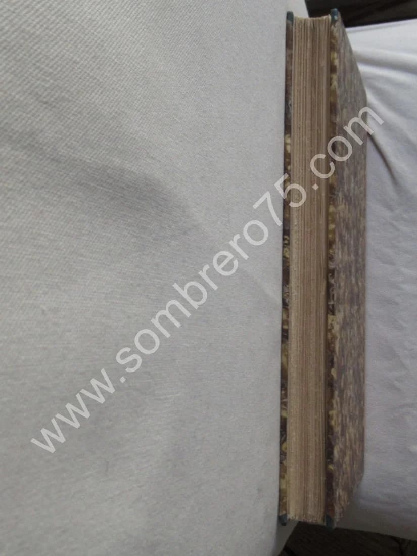 Leçons Cliniques sur les principaux Phénomènes de l'Hypnotisme - Image 8