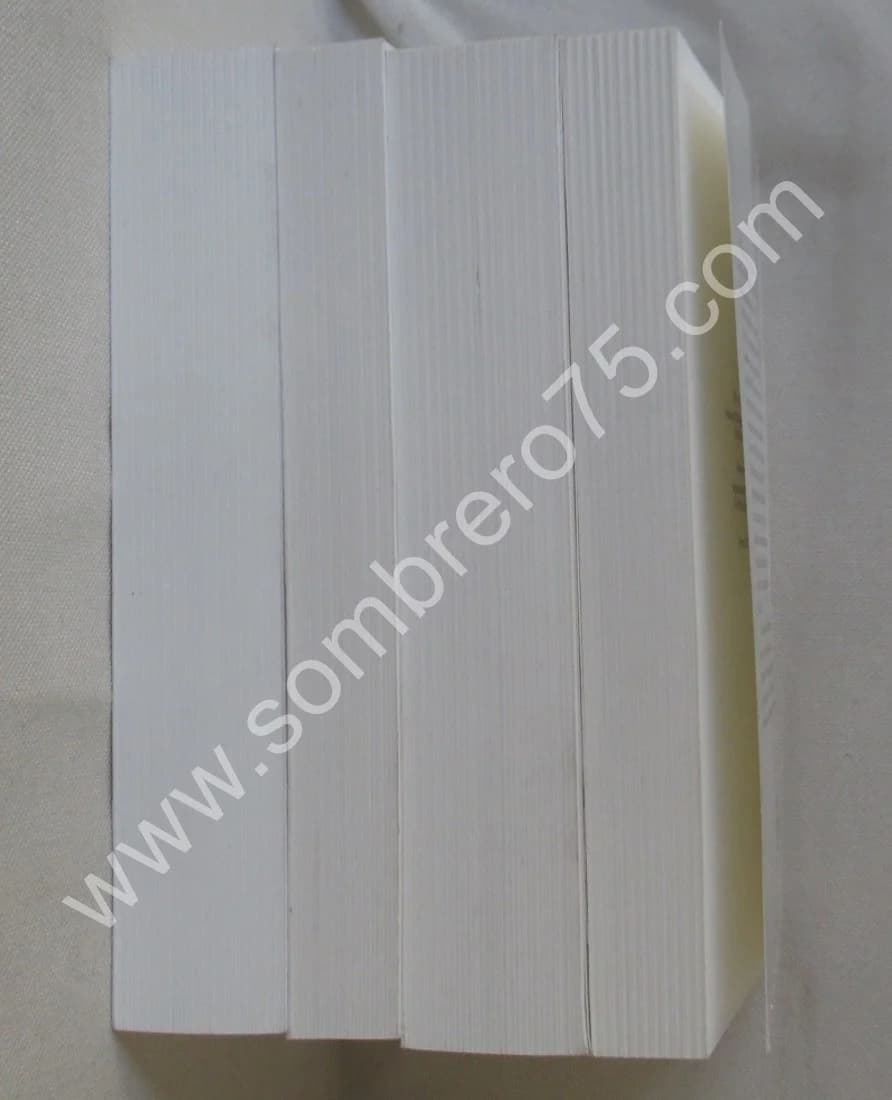 Pierre de l'ESTOILE. Journal du Règne de Henri IV. 4 Tomes - Image 10