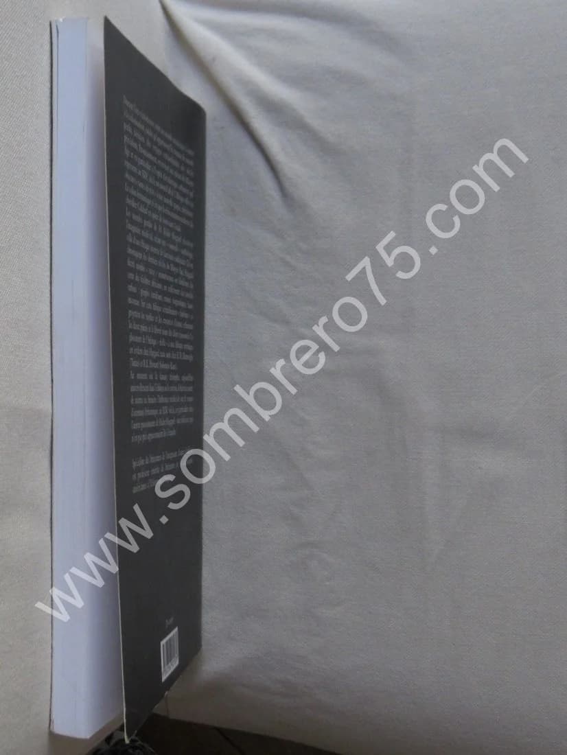 Des Mines du Roi Salomon à la Quête du Graal - Image 5