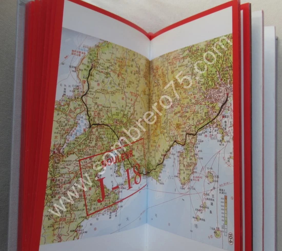 Douleur exquise. Sophie CALLE - Image 5