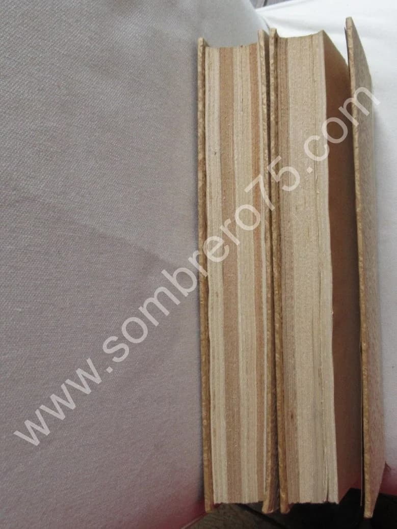 Feuillets d'El Djezair 2 Tomes. Vieil ALGER et Nouvel Alger - Image 21