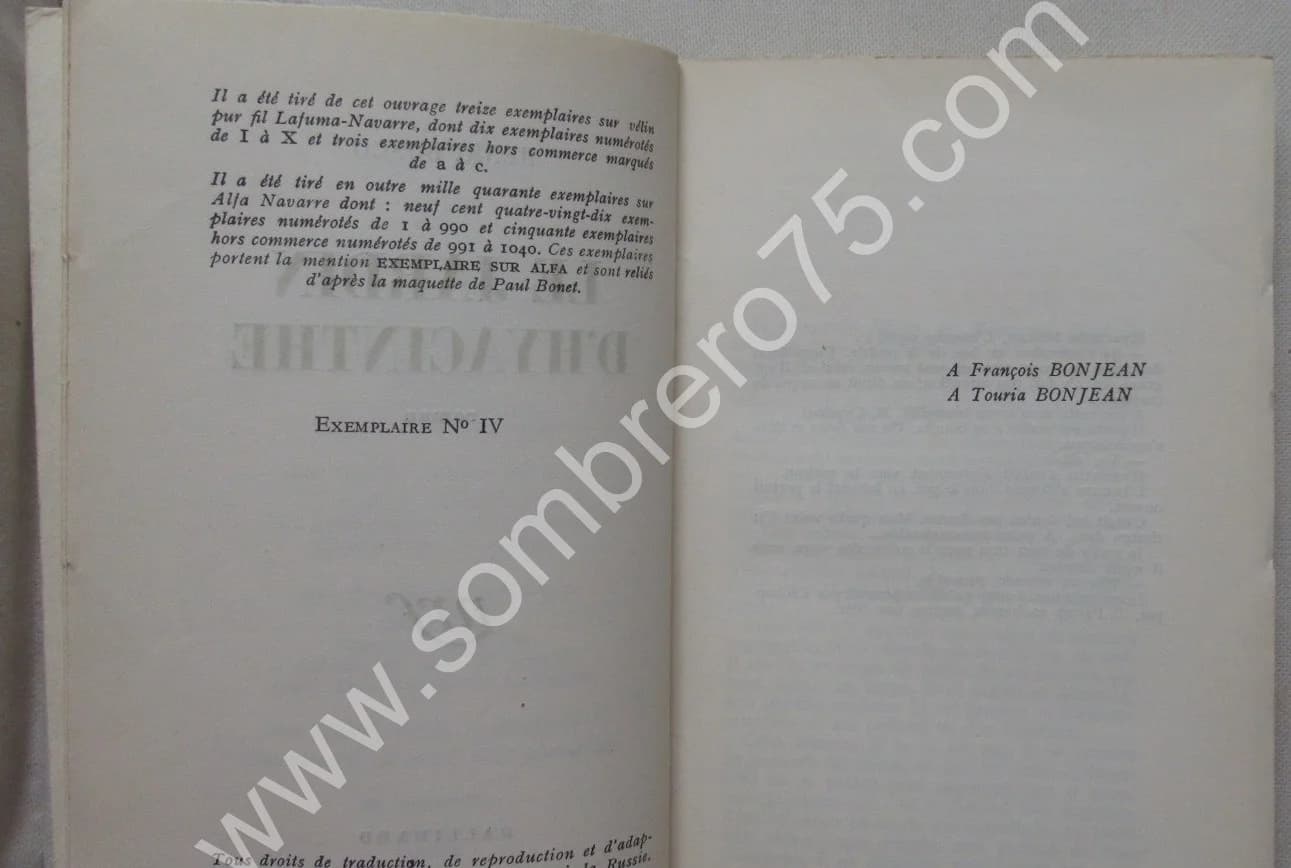 Le jardin d'Hyacinthe. 1946. Grand Papier - Image 4