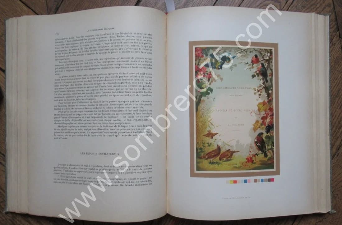 La Lithographie Française de 1796 à 1896 - Image 20