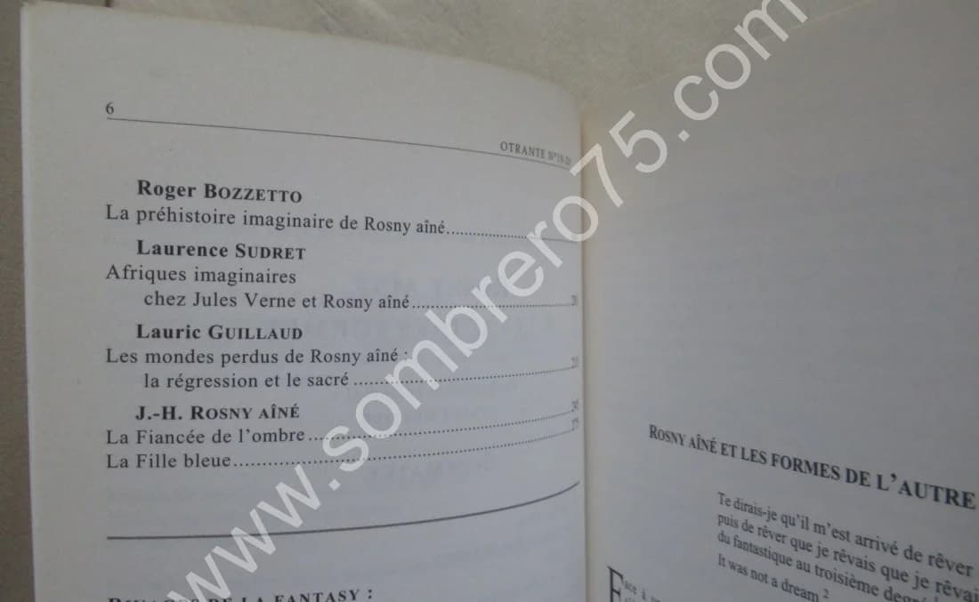 Revue OTRANTE 19-20 2006. Rosny AINE et les autres formes - Image 5