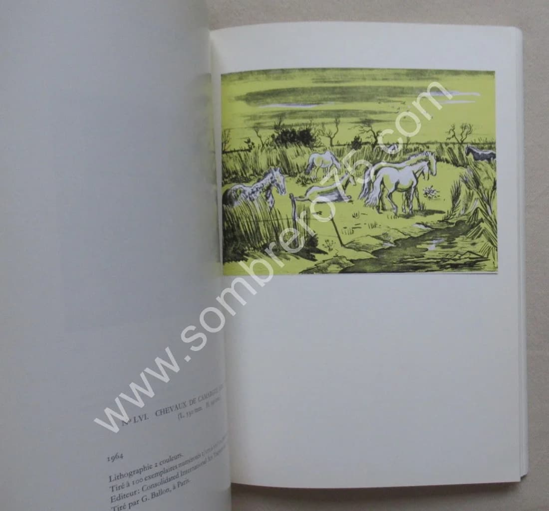 Catalogue Raisonné de l'Oeuvre Gravé et Lithographié de Yves Brayer. Préface Jacques Guignard - Image 6