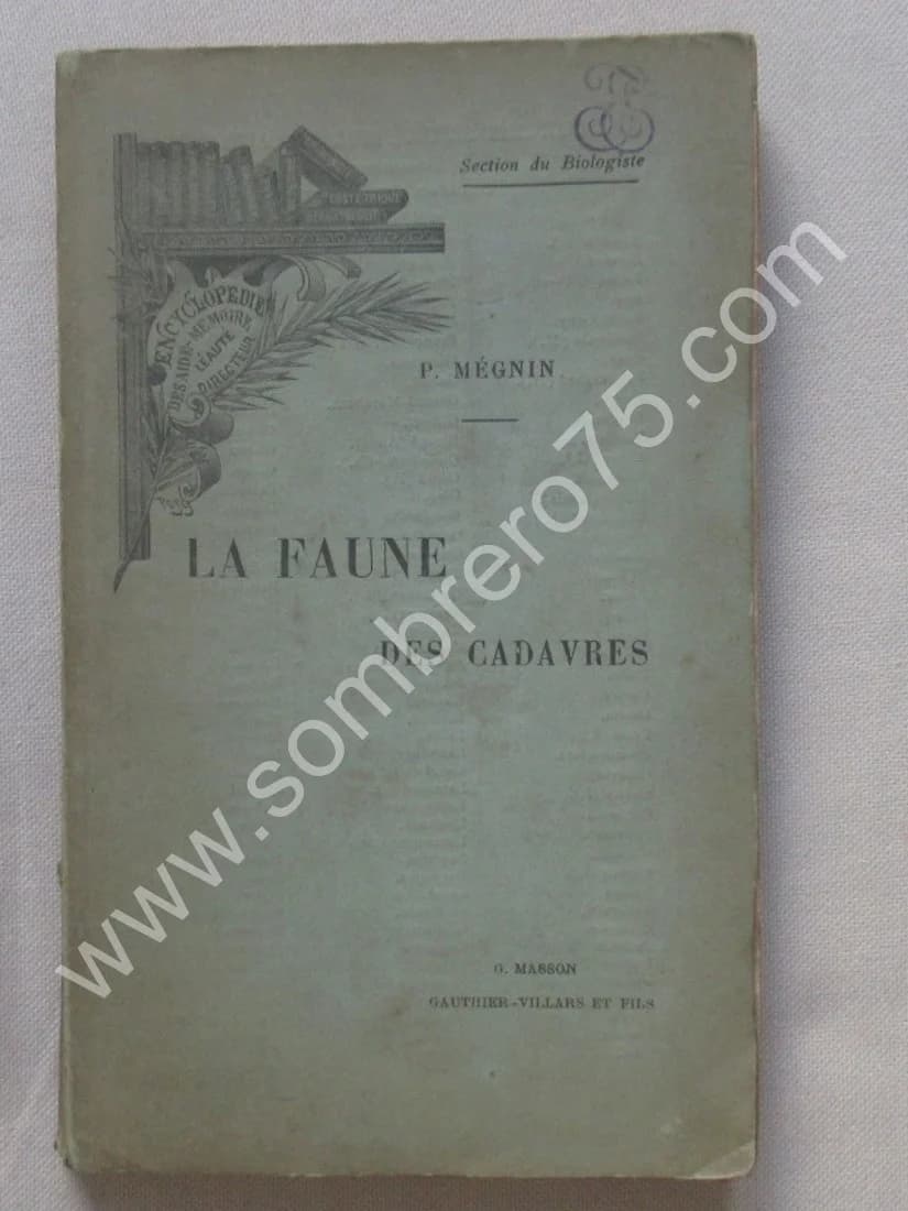 La Faune des Cadavres 1894