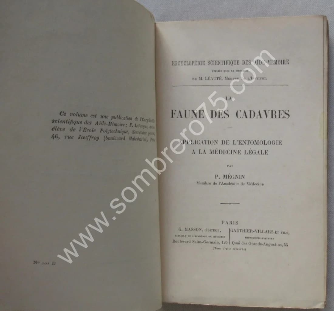 La Faune des Cadavres 1894 - Image 4