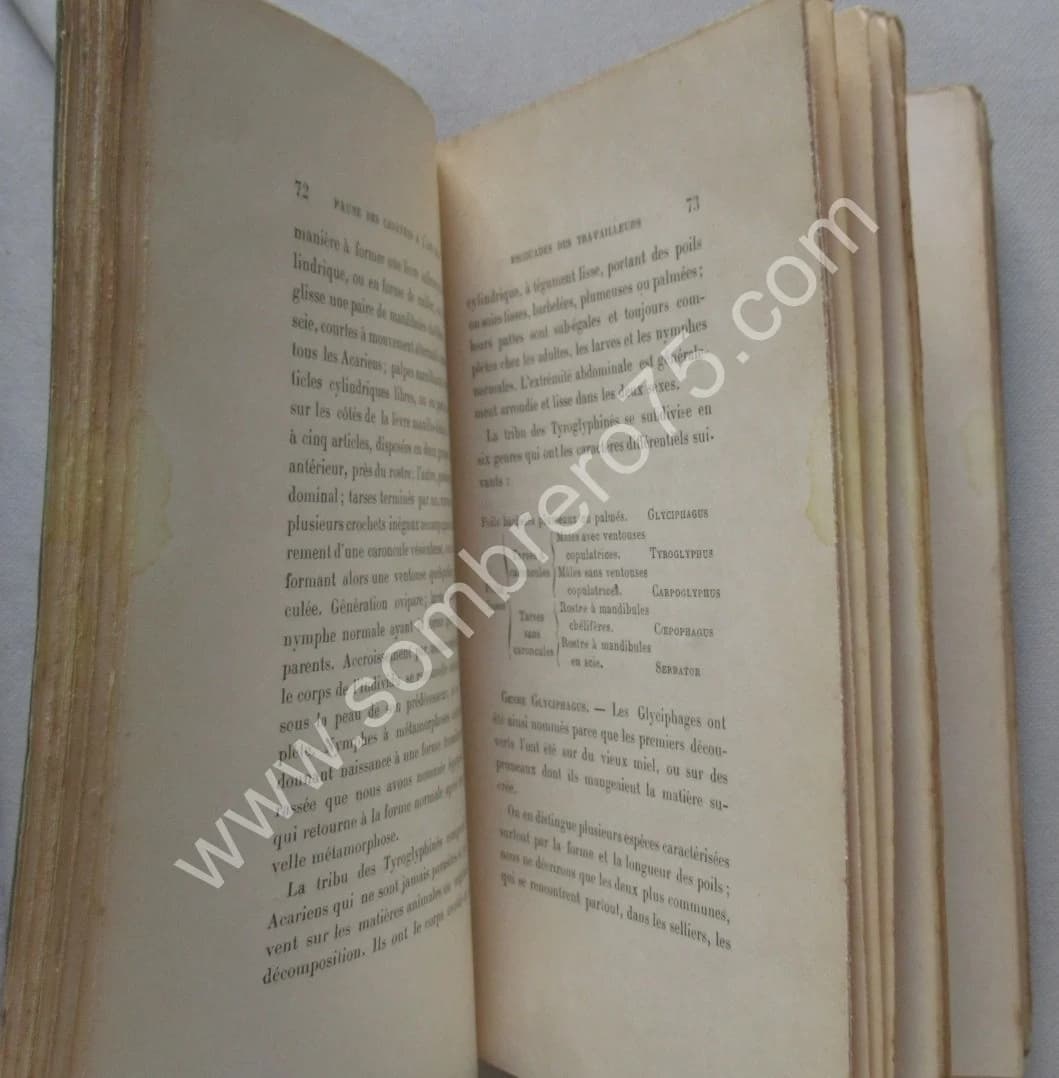 La Faune des Cadavres 1894 - Image 6