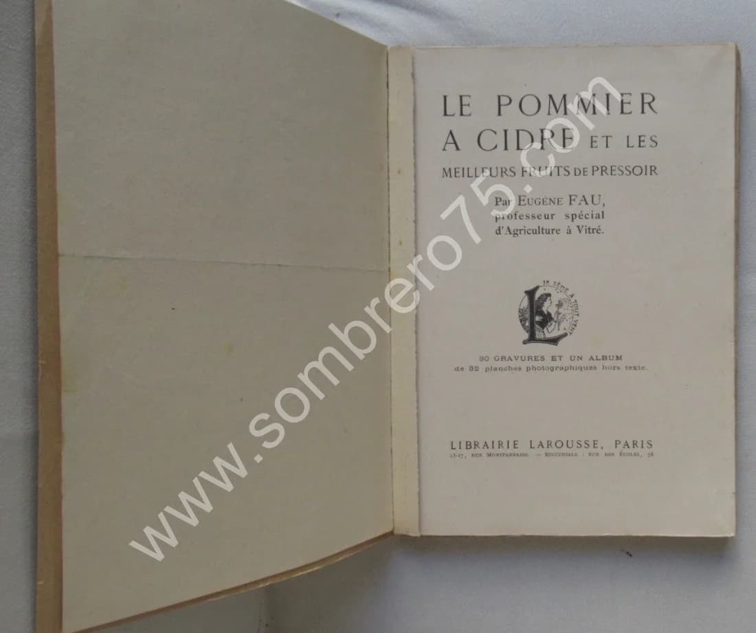 Le Pommier à Cidre et les Meilleurs Fruits de Pressoir - Image 3