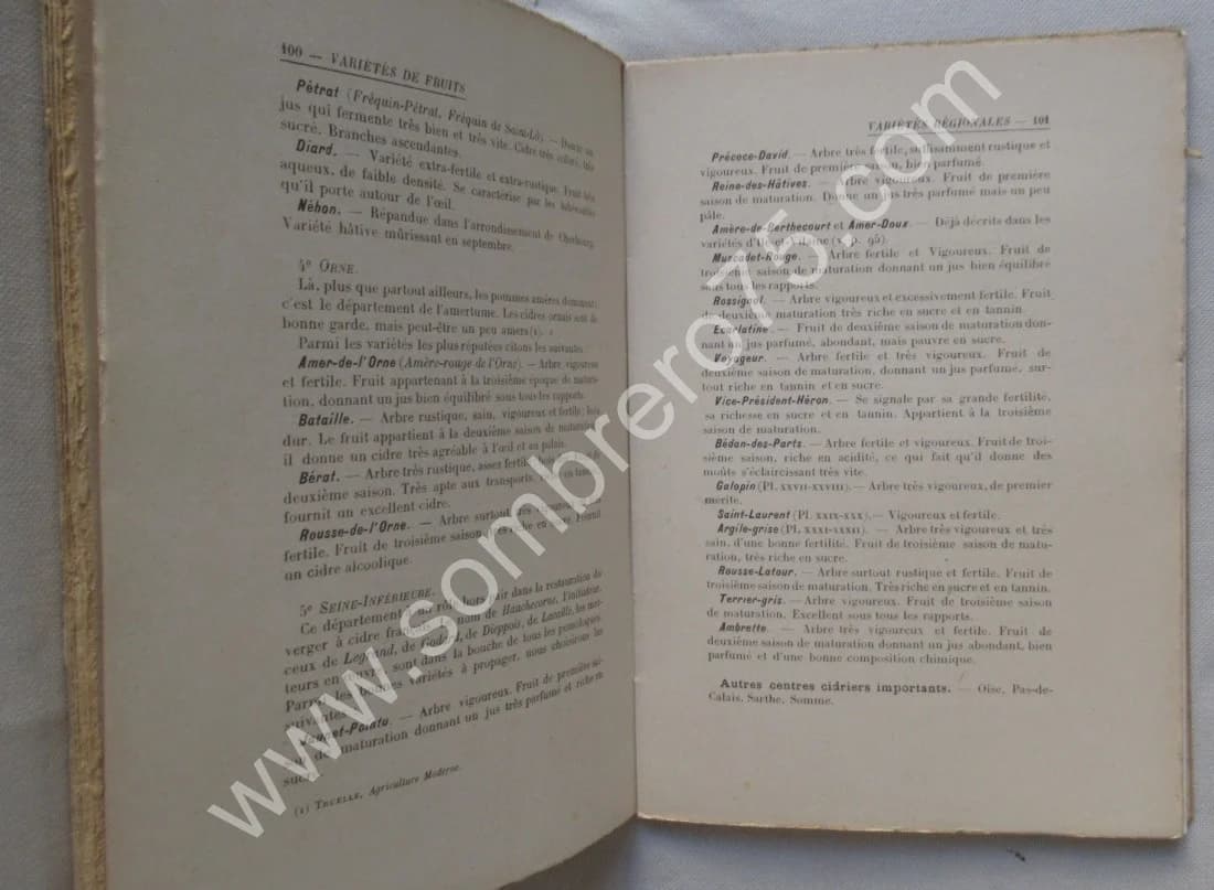 Le Pommier à Cidre et les Meilleurs Fruits de Pressoir - Image 4