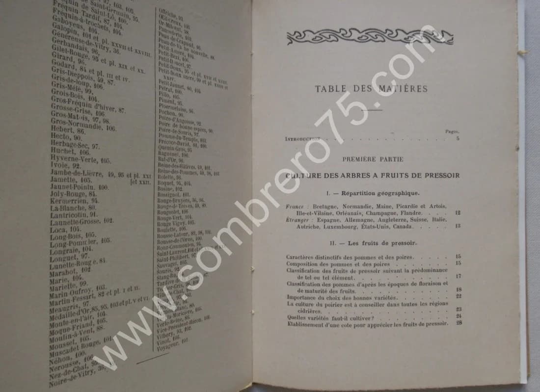 Le Pommier à Cidre et les Meilleurs Fruits de Pressoir - Image 8