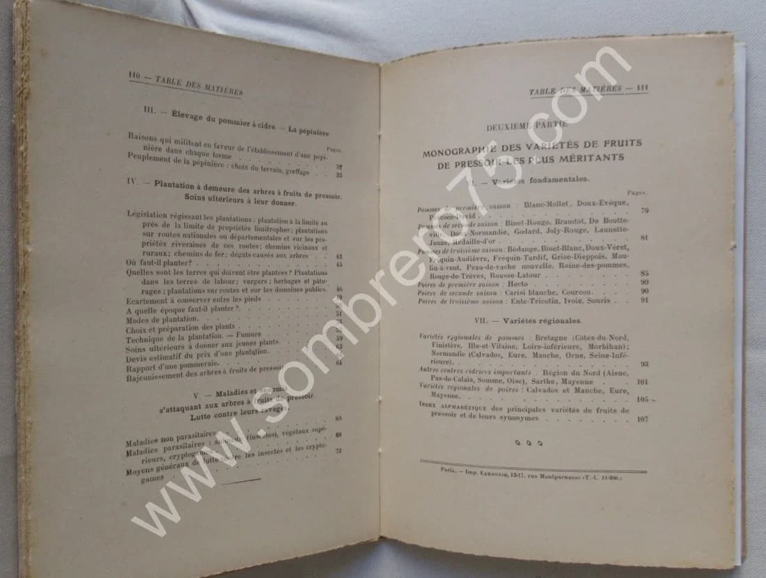 Le Pommier à Cidre et les Meilleurs Fruits de Pressoir - Image 9