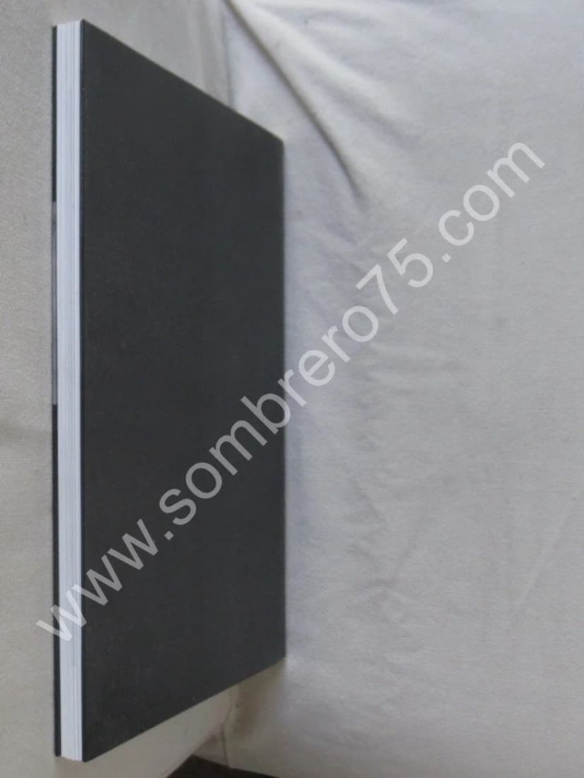 Les Autoportraits de Mapplethorpe. Paris 1996 - Image 10