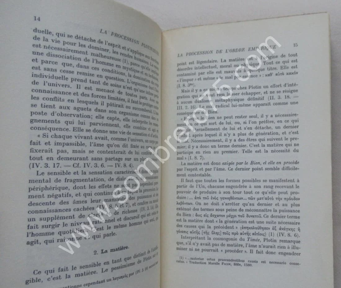 La Procession Plotinienne - Image 4