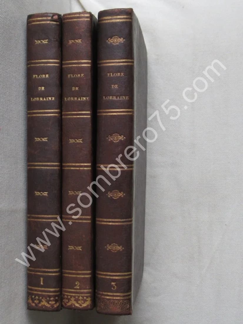 Dr D.A. GODRON. Flore de Lorraine- 3 Tomes