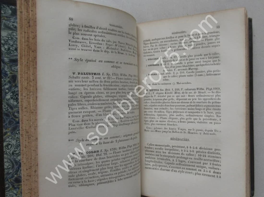 Dr D.A. GODRON. Flore de Lorraine- 3 Tomes - Image 4