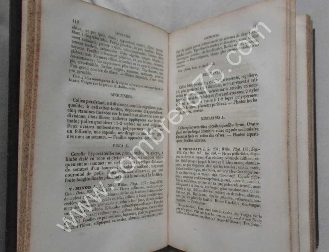 Dr D.A. GODRON. Flore de Lorraine- 3 Tomes - Image 6