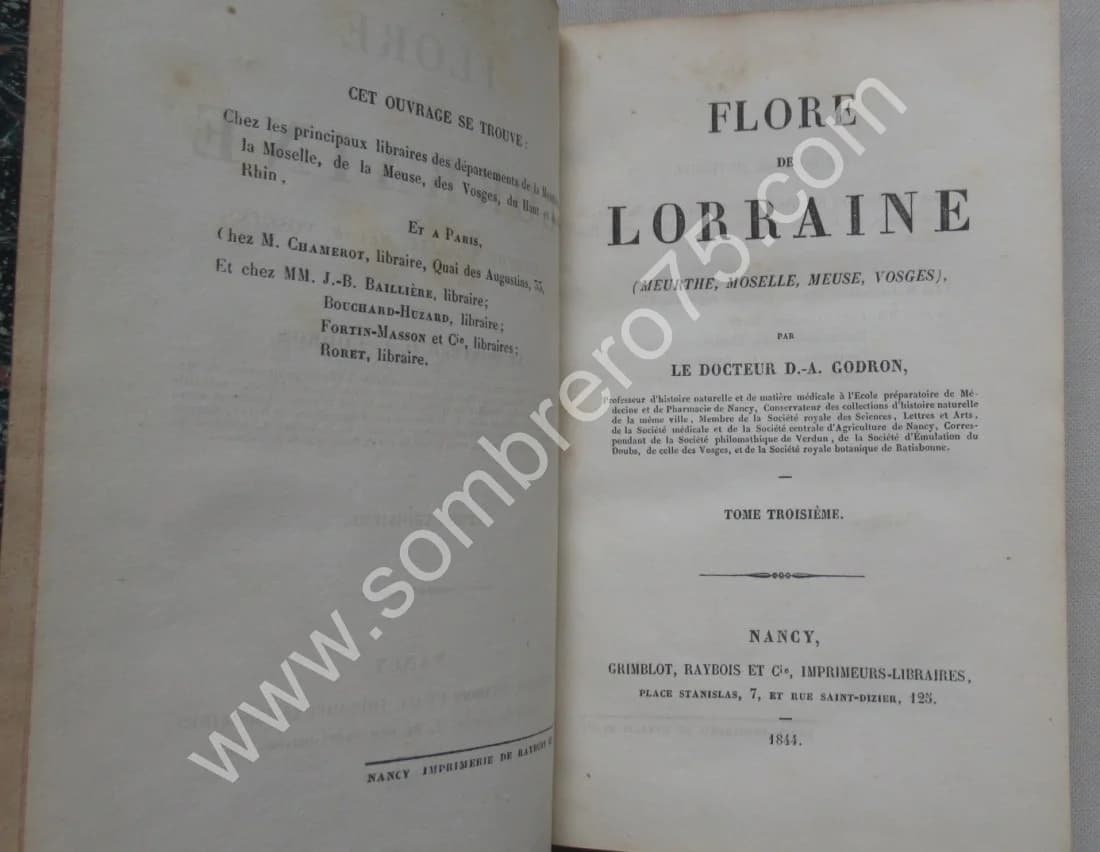 Dr D.A. GODRON. Flore de Lorraine- 3 Tomes - Image 8