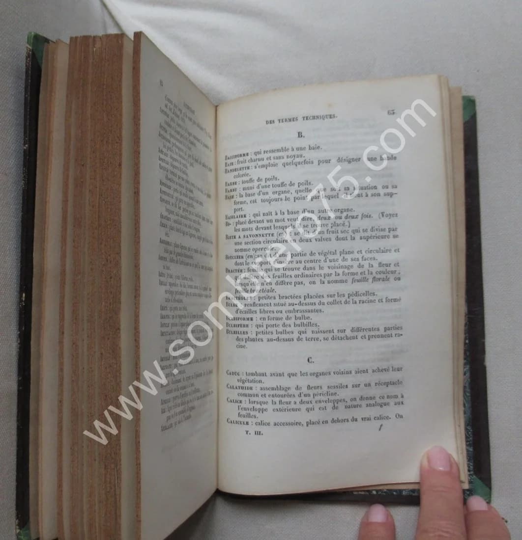 Dr D.A. GODRON. Flore de Lorraine- 3 Tomes - Image 9