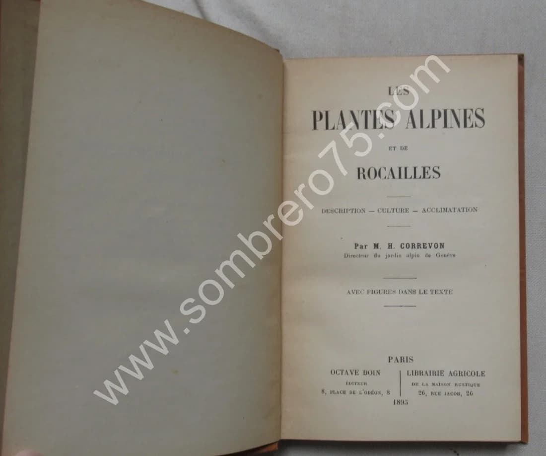 Les Plantes Alpines et de Rocailles - Image 3