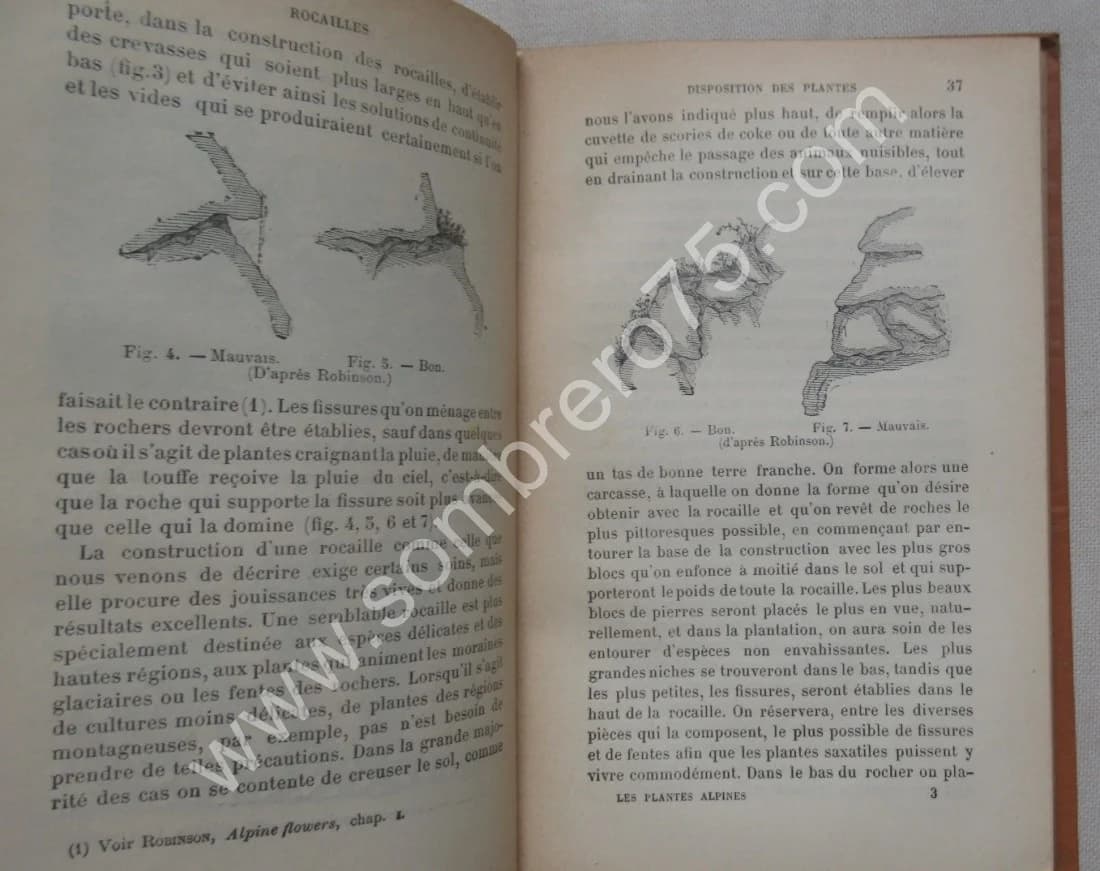 Les Plantes Alpines et de Rocailles - Image 4