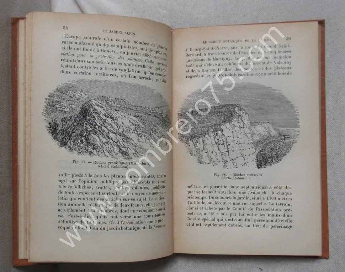 Les Plantes Alpines et de Rocailles - Image 5