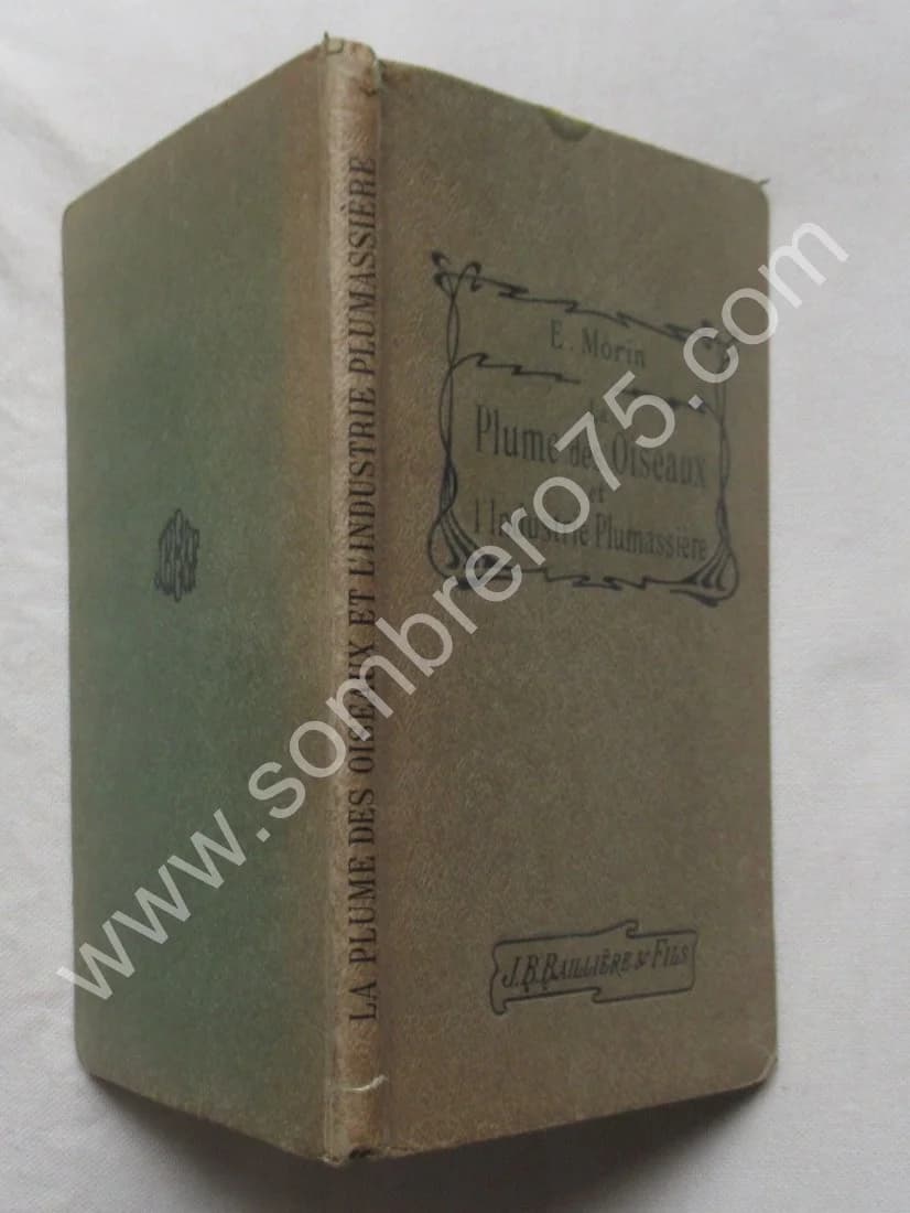 La Plume des Oiseaux et l'Industrie Plumassière - Image 2