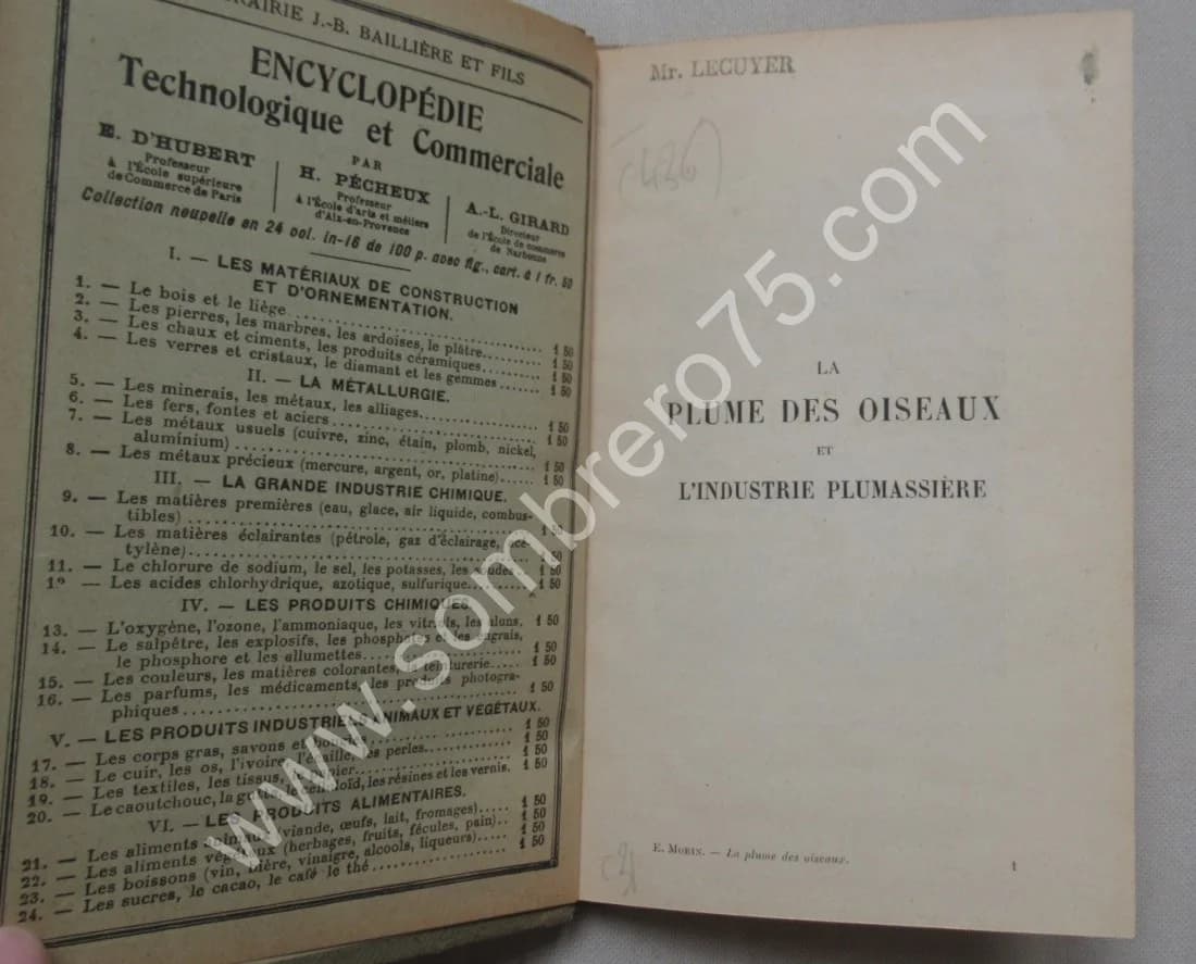 La Plume des Oiseaux et l'Industrie Plumassière - Image 3