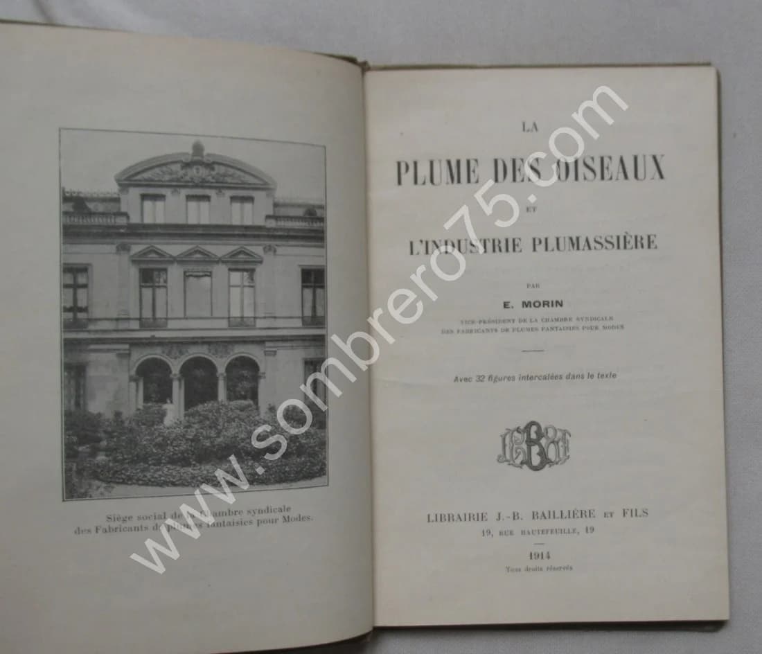 La Plume des Oiseaux et l'Industrie Plumassière - Image 4