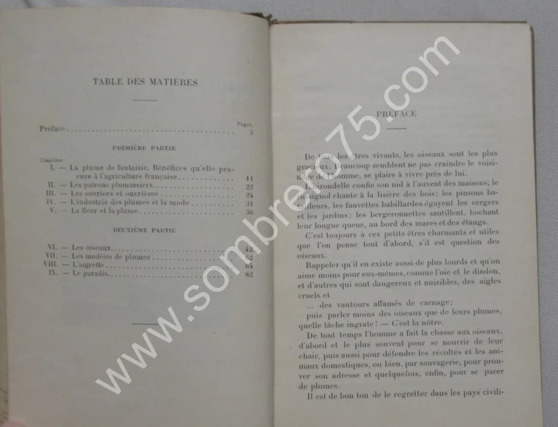 La Plume des Oiseaux et l'Industrie Plumassière - Image 8