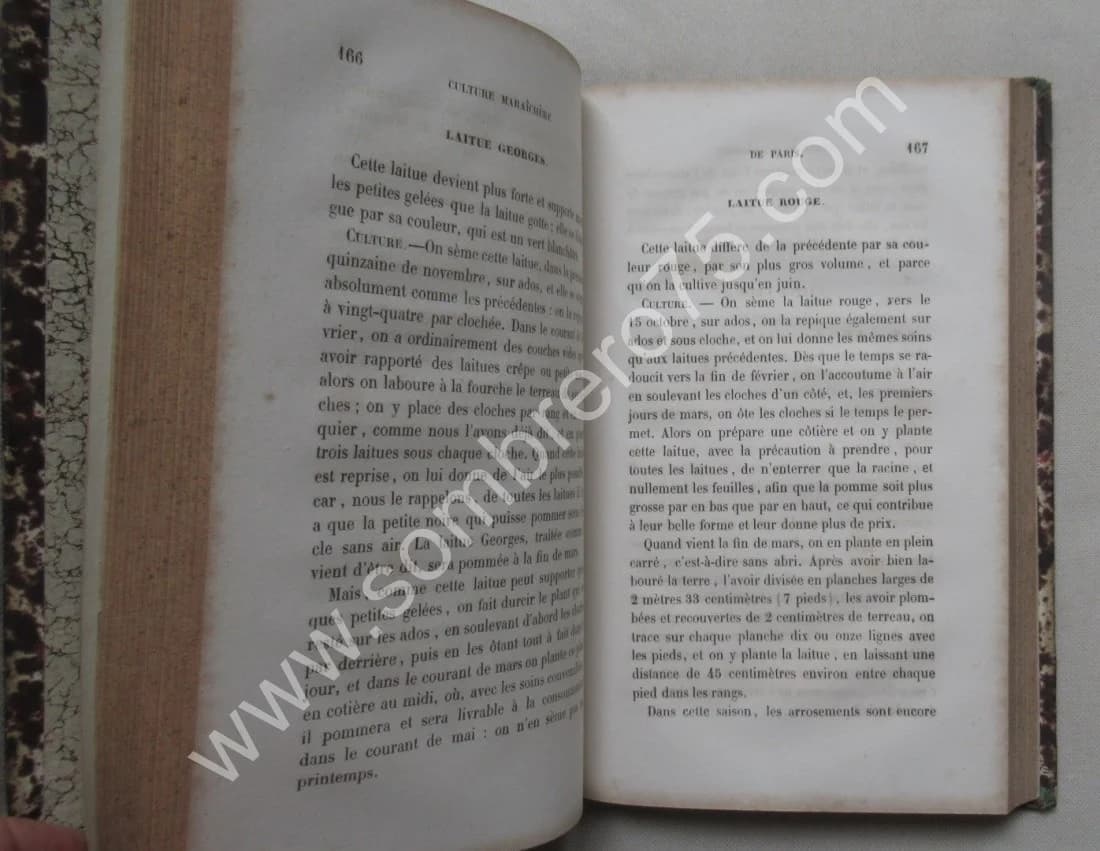 J. G. MOREAUet J.. Manuel Pratique de la Culture Maraichère de Paris - Image 6