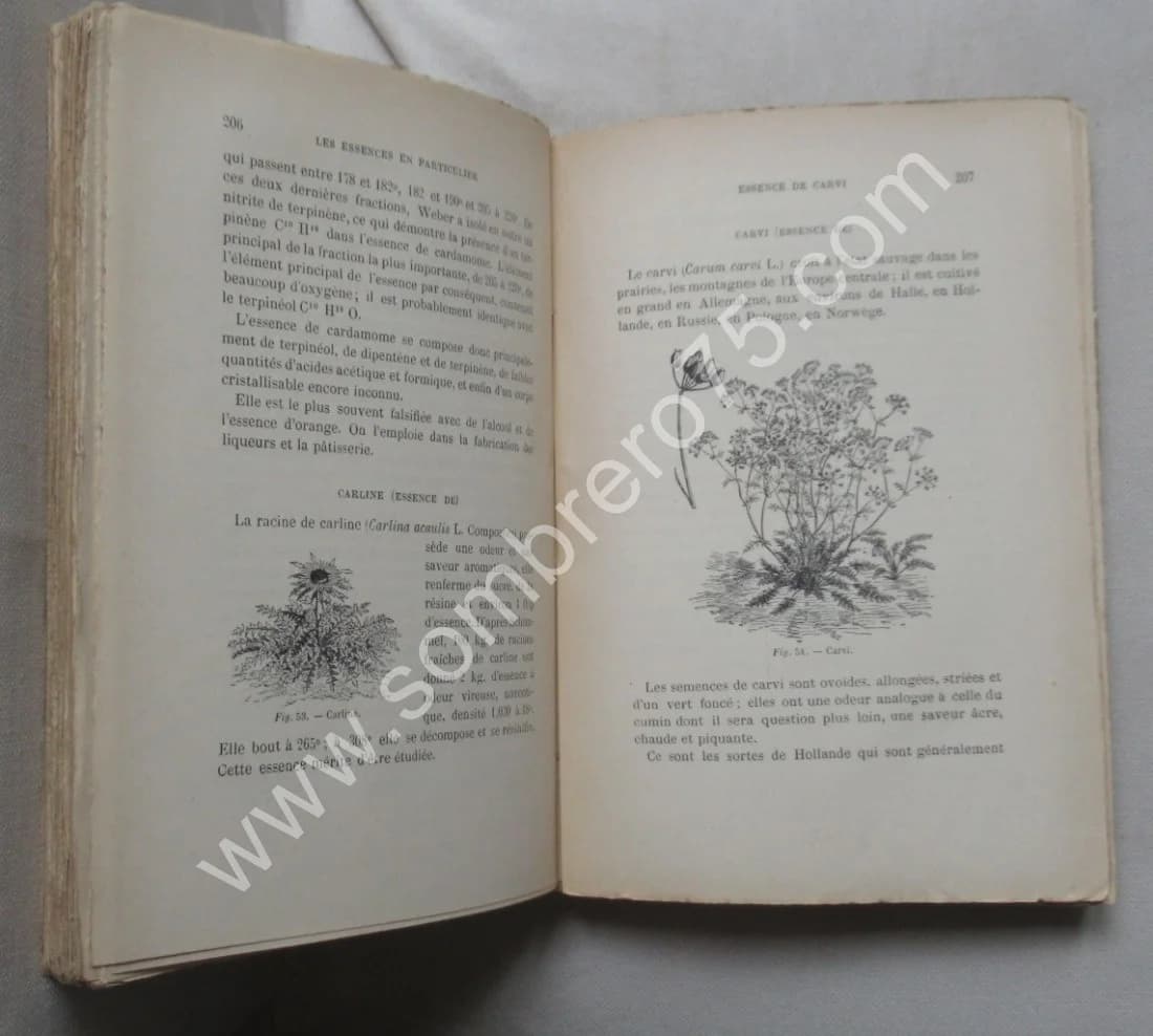 Fabrication des Essences et des Parfums. 1893 - Image 4